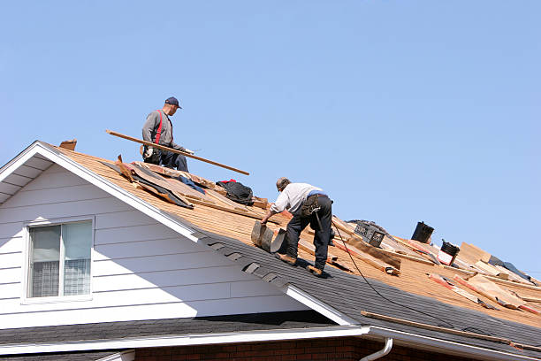 Best Roof Ventilation Installation  in Unadilla, GA