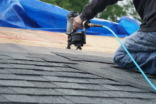 Best Chimney Flashing Repair  in Unadilla, GA