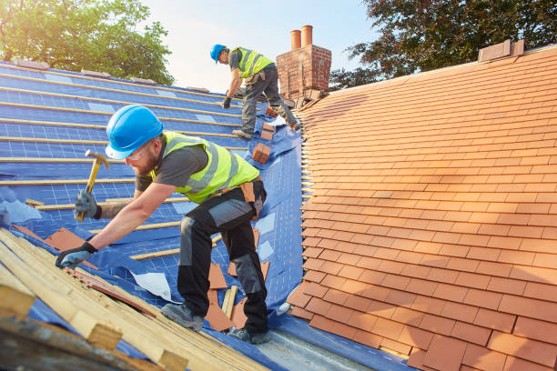 Best Solar Panel Roofing Installation  in Unadilla, GA